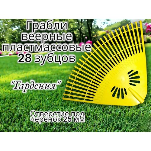 ���� ������ ������� ������������� 28 ������ 