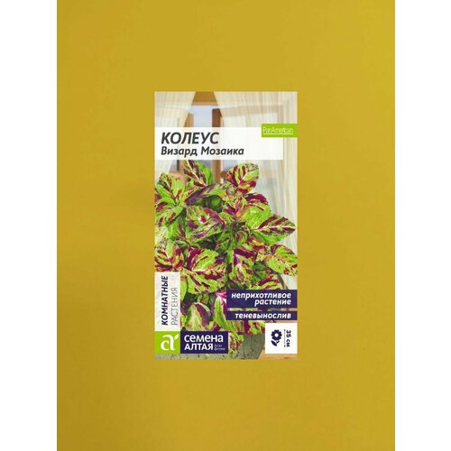 ���� ������ ������ ������� 8 ����� ������ ������