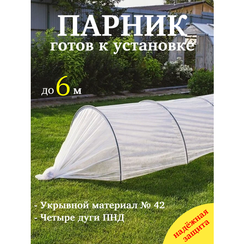 ���� ������, ��� �������, �������, �������� ��������, �� 6 ������ ������ ������