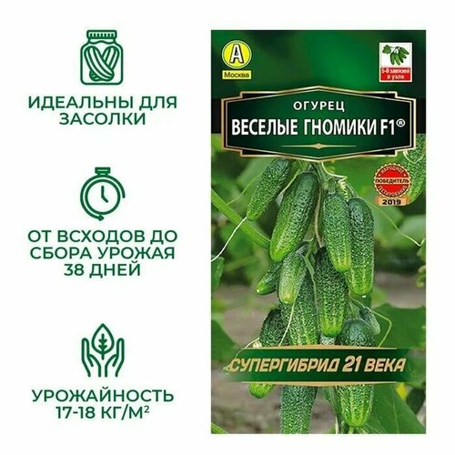 ���� ������ ������ ������� ������� 10 ����� � �������� ������ ������