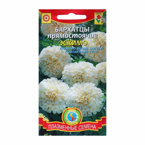 ���� ������ �������� ����������� 