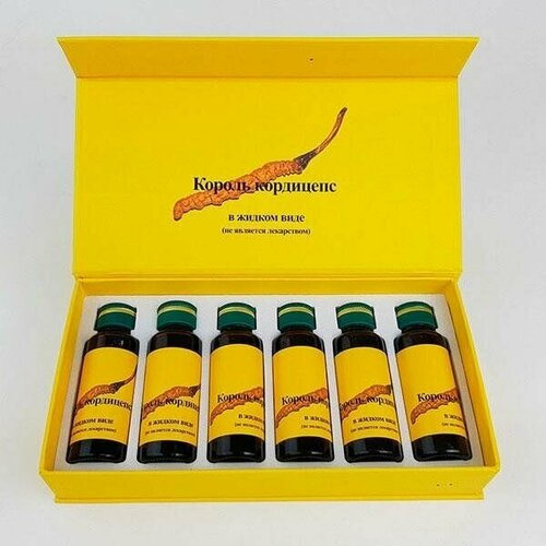 ���� ������� ������ ��������� ���� ����������, 6 �������� �� 28��, ������������� ��������� ������� ������ ����, ����������/�������������� ��������� � ���������� ������� ������ ������