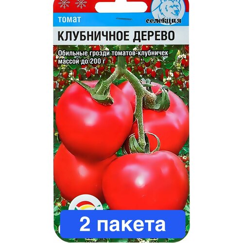 ���� ������ ������ ��������� ��� 