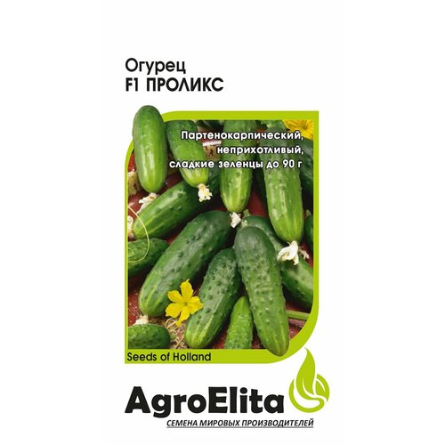     F1, 5, AgroElita, Nunhems   -     , -, 