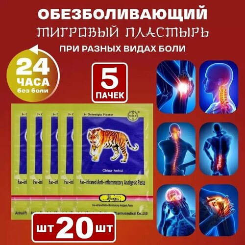 ���� �������� �������� - �������������� ������������� �������� � �������� ����� �����, 20 ���� ������ ������