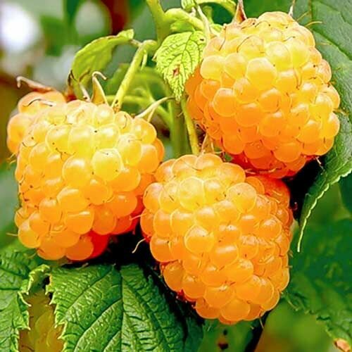 ���� ������ ������������ ������ ������ ������ ������