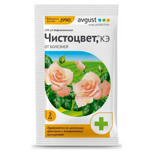 ���� Avgust �������� �� �������� �������� ���������, ��, 2 �� ������ ������