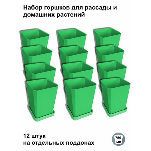 ���� ������ ��� ������� � ������, 12 ���� �� ��������� ��������, ������� ������ ������