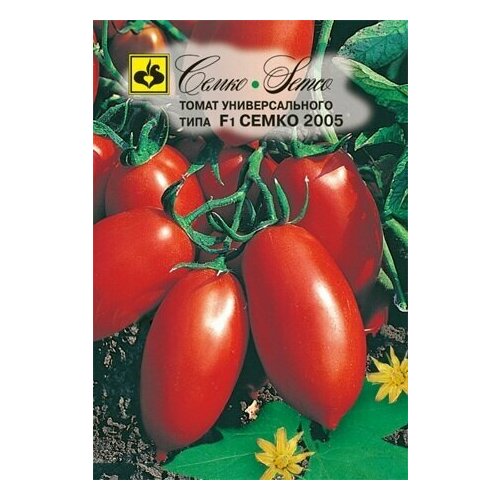 ���� ������ ������ ����� 