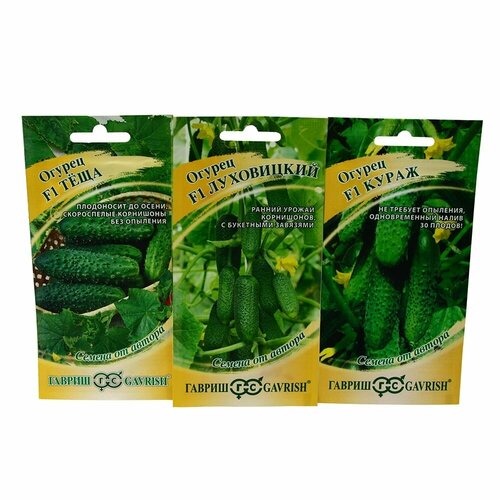 ���� ����� ����� ������� �� ������ ���� F1, ����� F1, ���������� F1 (3 �������� �� 10 �����) ������ ������