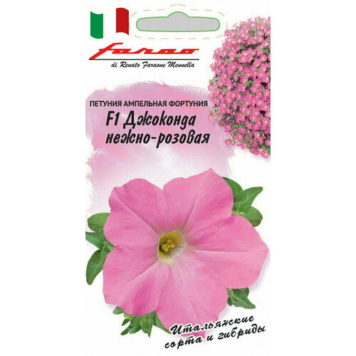 ���� ������ ������� ��������� (��������) �������� �����-������� F1, 7��, ������, Farao, 10 �������� ������ ������