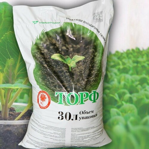 ���� ���� ������� 30 � ������ ������