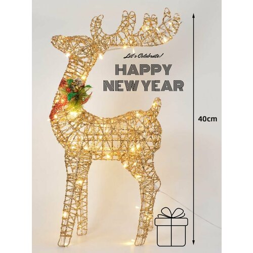 ���� ���������� ����� ���� ������ 40 �� ������ ������