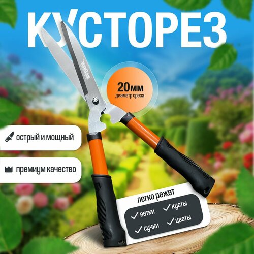 ���� �������� ������� ���� 500 ��, ���� �� 20 ��, ������������ �����, ������� ������� ��� ����� ��������, �������� ������ ������