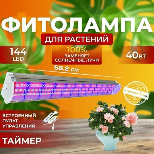       ,    ,      ,  40  144 LED   -     , -, 