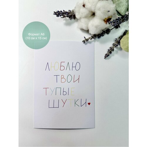 ���� �������� 
