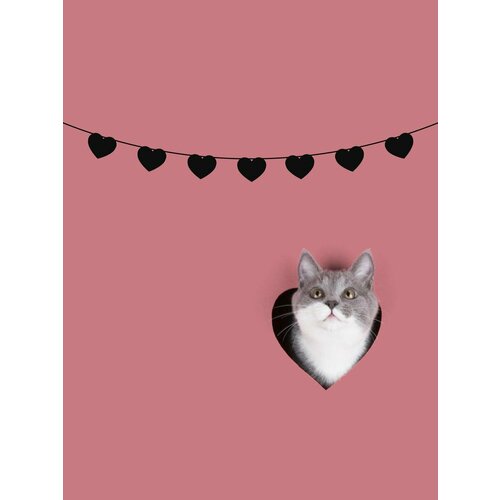 ���� �������� �������� �������� �� ���� ������ - ������ ������ ������