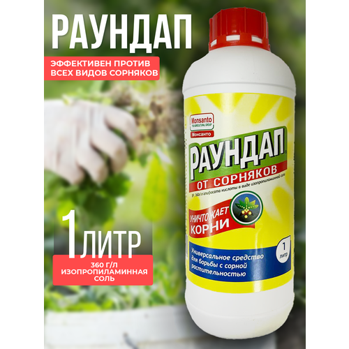 ���� 1 ���� ! ������� �������� �� �������� ������ ������