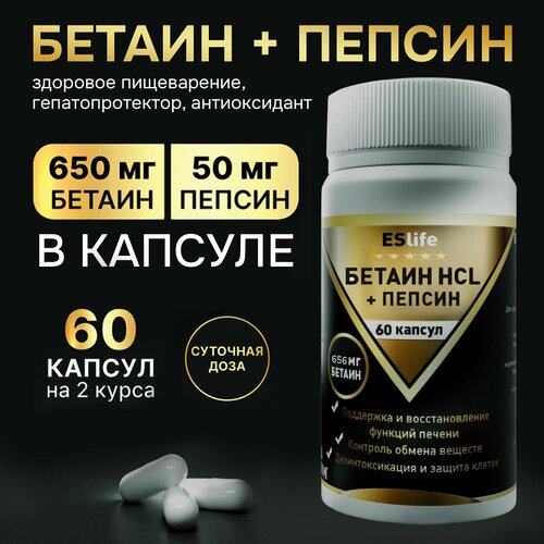 ���� ������ ����������� 656 �� � ������ 50 �� ������� ������� ��� ������ ����������� ��� ������������ �� ������ 60 ������ ������ ������