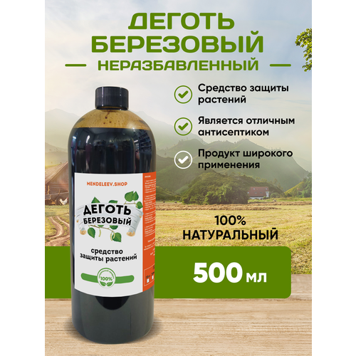 ���� ������ ��������� 500 �� ������ ������