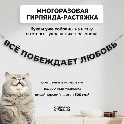 ���� ��������-�������� �������� �Ѩ ��������� ������ (240 ��) - ������ ����� � �������� ������� ���� ��� �������� �������� ������ ������