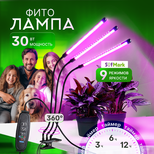 ���� ��������� ��� �������� � ������� �� ��������, � �������� ������ ������