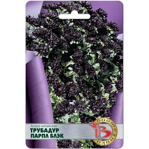 ���� ������ ����� ��������� �������� ����� ���� (20 �����) ������ ������