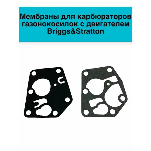        Briggs&Stratton   -     , -, 