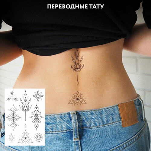 ���� MIAMITATS ���������� ���� Tracery, 8 ��, 1 ��, �����, ��������� ������ ������