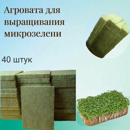 ���� �������� / ����������� ���� (10�16�1,5��) ��� ����������� �����������, ����� �����, ������� (40 ��. � ������) ������ ������