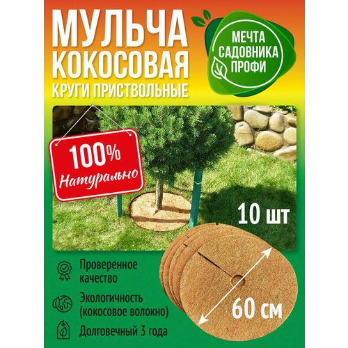 ���� ������������ ���� 60��, ����� 10��, ��������� ������, ���������� ������ ������