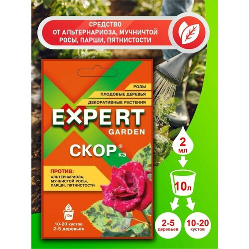  3   2!         , Expert Garden   -     , -, 