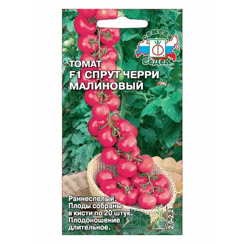 ���� ����� ����� 