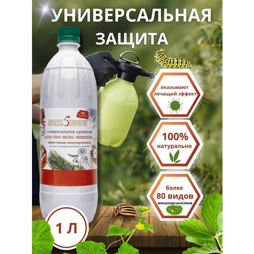 ���� ��������� MAXI ���, ��������� ��� �������, ���� � �������, ��������� ��������, 1000 ��. ������ ������