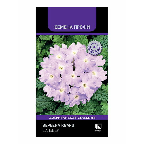 ���� ������ ������� ����� ������� ���������� 10 ��. ������ ������