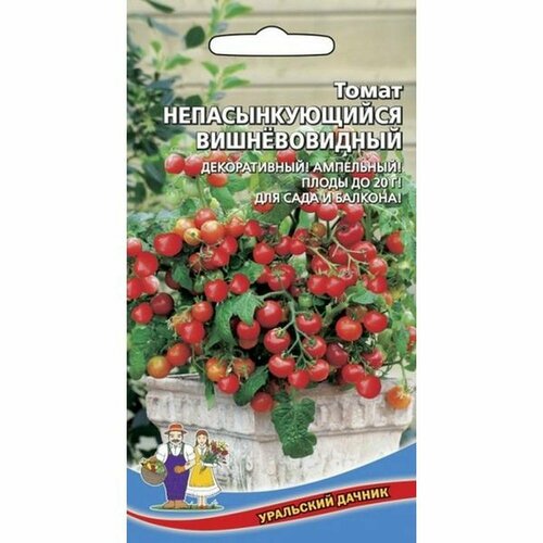 ���� ������ ����� ��������������� ������������� (�����������) 20�� ������ ������