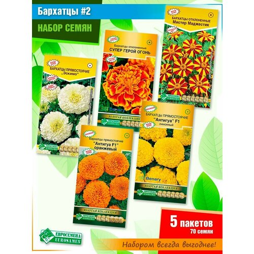 ���� ����� ����� ������� ������ 