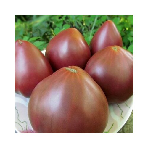 ���� ������������� ������ ������ ���� ���������� ������ ������ ������