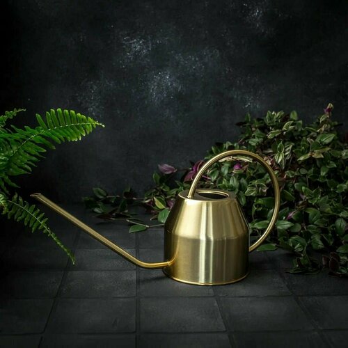 ���� ����� (1,2 �) ������ ������������� � ������� ������� ��� ��������� �������� �������� � ������ �� ���� ��� ����, ����� ��������� ������� �������� ������ ������