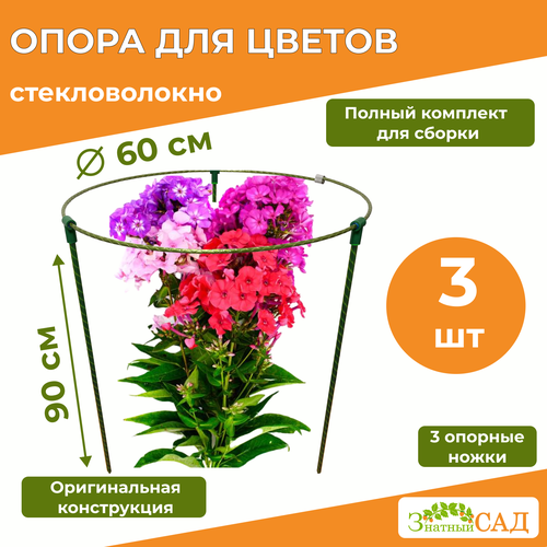 ���� ����� ��� ������ /��������������/ �������� ��� ����/ �������������/ 3 ����� ������ ������