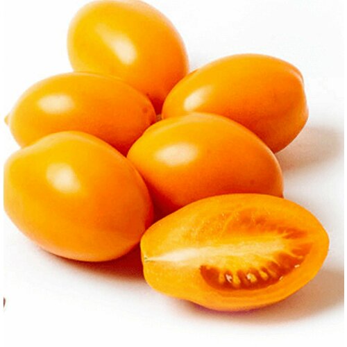 ���� ������������� ������ ������ ������� ������ ������