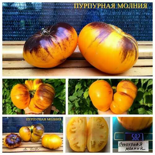 ���� ������������� ������ ������ ��������� ������ ������ ������