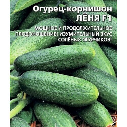 ���� ������������� ������ ������ ˸�� F1 ������ ������