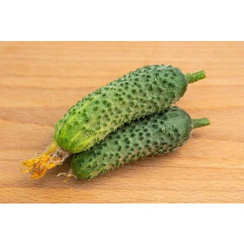 ���� ������������� ������ ������ ����� F1 ������ ������