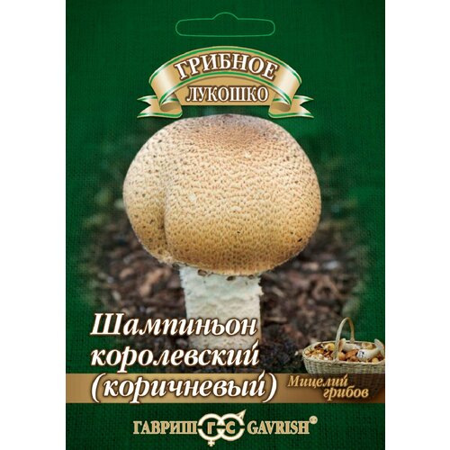 ���� ������� ��������� ���������� �� �������� ���������, 15��, ������ ������ ������