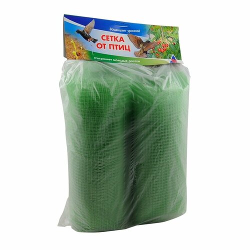 ���� ����� �� ����, 2 � 10 � ������ ������