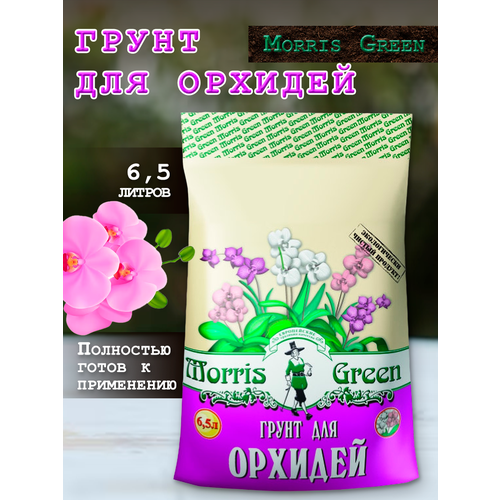     Morris Green 6,5    -     , -, 