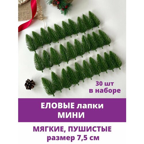 ���� ������ ����� �������������, ����, ���������� �����, �������������� �����, 7,5 ��, 30 ���� ������ ������