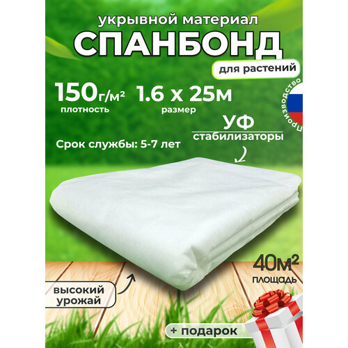 ���� �������� ����� ��� �������� ������� ������� �������� 150 ������ ������