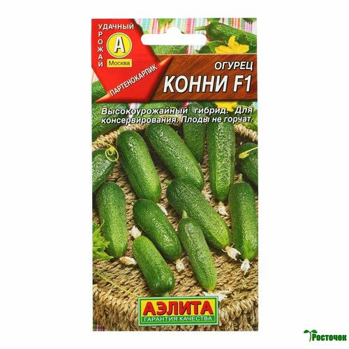 ���� ������ ������ ����� F1 ������ ������